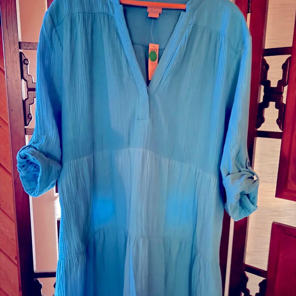 Chicos Blue Dress 4